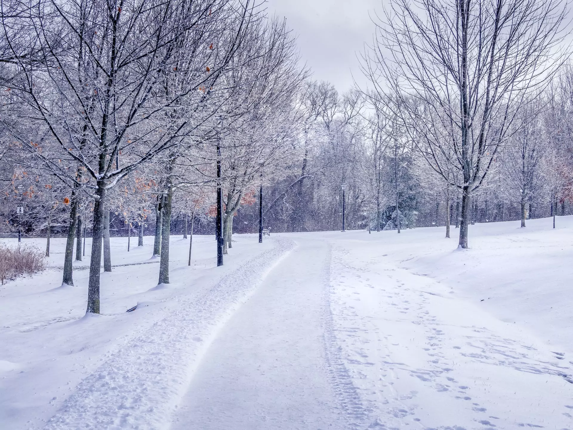 cold weather activity ideas for seniors